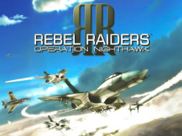 叛乱袭击者：夜鹰行动2005 Rebel Raiders Operation Nighthawk 美思捷达代理