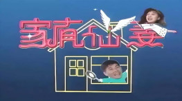 [家有仙妻1991+2000][无台标][无水印][硬字幕]H264.640x480.AAC.MKV[28GB]
