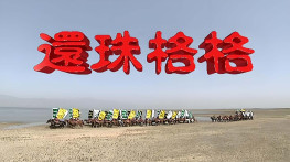 [还珠格格1+2合集][无台标][无水印][硬字幕][48GB]DVDRip.704x520.AC-3.CMCT