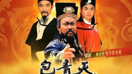 [包青天93版236集][无台标无水印][132GB]TS 640X480 H.264[硬字幕][完整无删减]