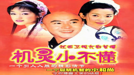[机灵小不懂2001][国粤双语][30集全][无台标][无水印][硬字幕]704x528[24GB]