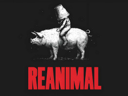 生灵重塑+修改器 REANIMAL 游戏本体+全DLC 中文/冒险/角色扮演 解压即玩