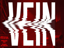 静脉+修改器 VEIN 中文/动作/角色扮演/模拟 解压即玩