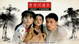 [青青河边草1992][42集全][中视台标][硬字幕]VCD.H.264.640x480.AAC.MP4