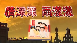 [情深深雨蒙蒙2001][国粤双语][49集版][无台标][无水印][硬字幕]720x540.AC-3.MKV